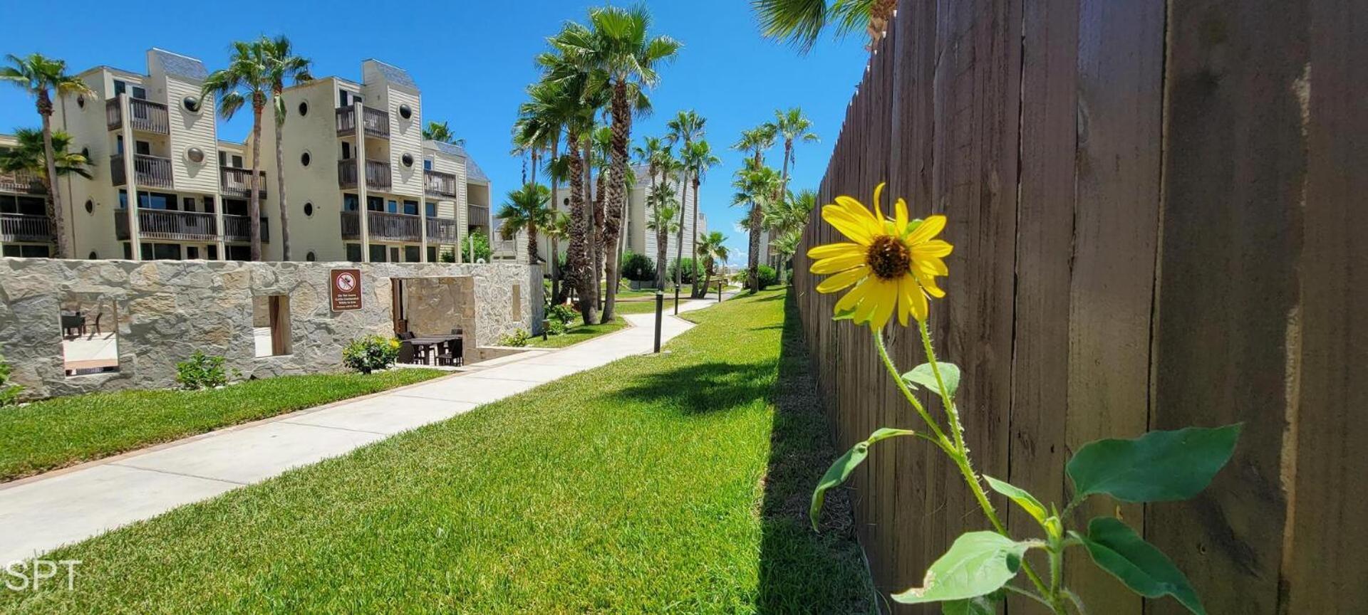 Bahia Mar #426 Villa South Padre Island Eksteriør billede